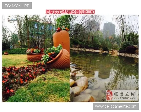 博鱼ag最新赛事资讯及时掌握赛事动态赢取更多奖励